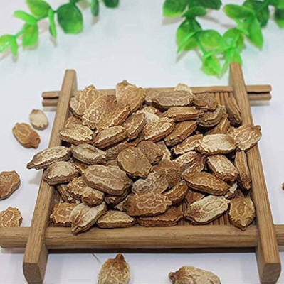 GREENSEA High Yielding Bitter Gourd, Uchchhe, Karela Seed(34 per packet)