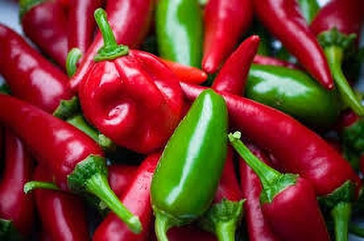 jkfarm High Yielding Bullet Chilli, Mirchi Seed(130 per packet)