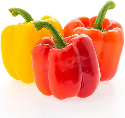 CYBEXIS Rainbow Pepper Capsicum Seeds2400 Seeds Seed(2400 per packet)