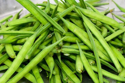 XOLDAA CLUSTER BEANS SEEDS Seed(15 per packet)