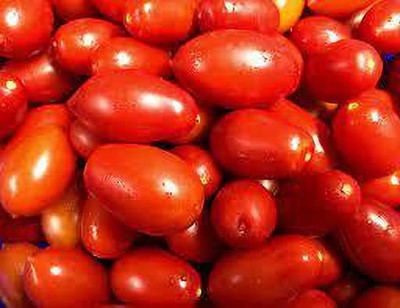 Oliver hybrid f1 quality tomato Seed(105 per packet)
