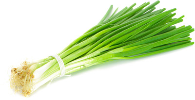 Mozette Organic bunching onion Seed(45 per packet)