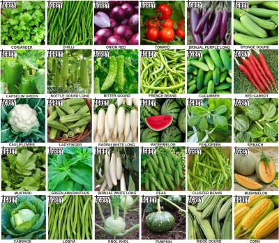 Agrey combo of 30 variety vegetable seeds with instruction manual. Seed(30 per packet)