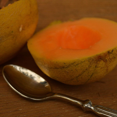 Qualtivate HUA-8A Minnesota Midget Musk Melon Seed(200 per packet)