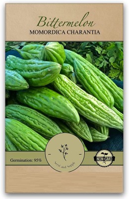 Qualtivate ICRA-7A High Growth Hybrid Bitter Gourd (Karela) Seed(50 per packet)