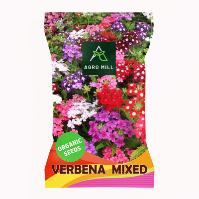 AGRO MILL VERBENA/VERVAIN MULTIFLORA MIXED PREMIUM QUALITY FLOWER Seed(50 per packet)