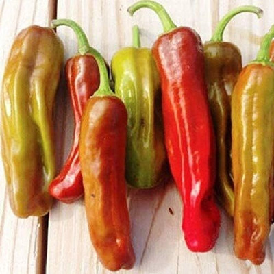 Qualtivate AXL-1AT Golden Greek Hot Pepper Chilli Seed(300 per packet)
