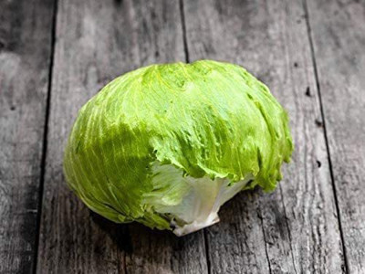 WILLVINE XLL-445 Lettuce Seeds Iceberg Batavian Seed(200 per packet)