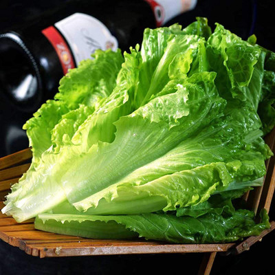 CYBEXIS F1 Hybrid Romaine Lettuce Seeds2000 Seeds Seed(2000 per packet)