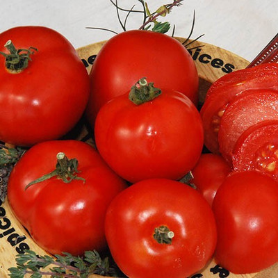 Quentova Tomatoes Red टमाटर-XII-3Z Seed(250 per packet)