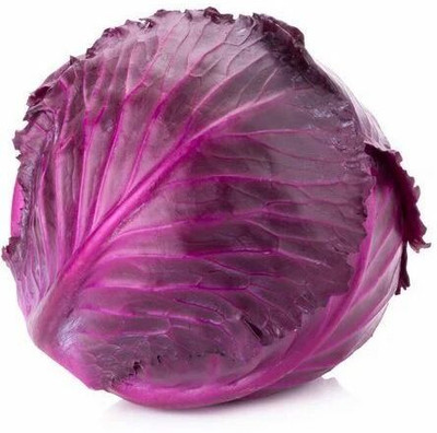 KNESSiN Cabbage Red Seed(200 per packet)