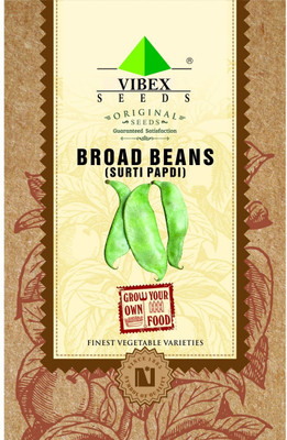 WILLVINE Surti Papdi or Broad Bean Seeds Seed(500 per packet)