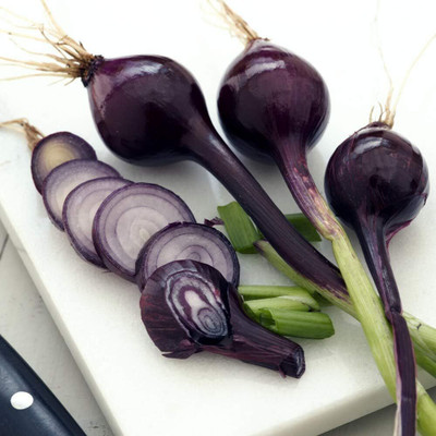 KNESSiN Spring Onion 'Purplette Bunching Onion -{1200 Seeds} Seed(1200 per packet)