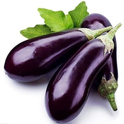 CYBEXIS Long Purple Eggplant Seeds Non-GMO Annual2400 Seeds Seed(2400 per packet)