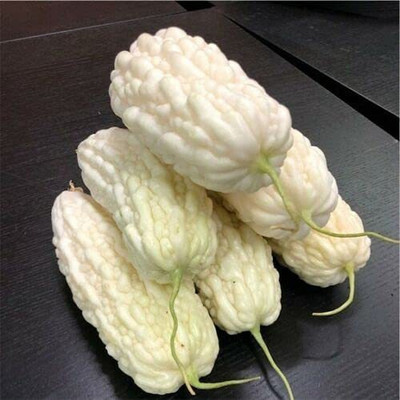 VibeX VVI-4 - White Bitter Gourd Balsam Pear - (300 Seeds) Seed(300 per packet)