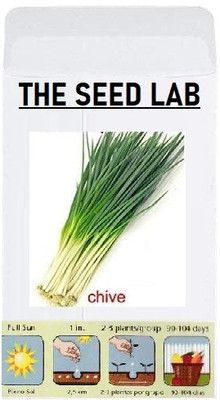 KNESSiN Chives Seed(1250 per packet)
