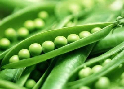 VibeX ® XLR-332 Green Pea Seeds, Super Sugar Snap Seed(50 per packet)