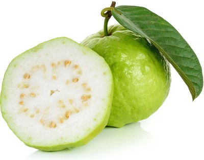 Quentova Guava, Amrood-UK-2R Seed(50 per packet)