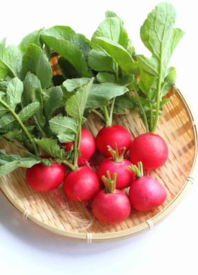 MYLAWN Scarlet Queen Turnip Seed(2000 per packet)