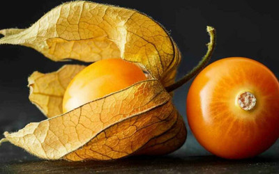 QALANDAR Cape Gooseberry (रसभरी) Seeds Seed(30 per packet)