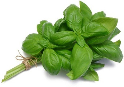 XEFRA Basil Italian Seed(70 per packet)