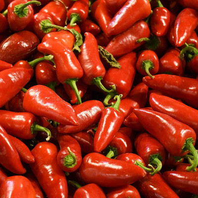 Biosnyg F1 Hybrid Sweet Red Jalapeno Pepper Seeds For Planting-(2000 Seeds) Seed(2000 per packet)