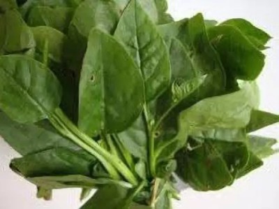 Aro Malabar Spinach, Malabar Seed(170 per packet)