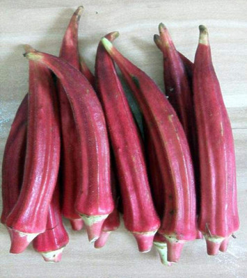 CYBEXIS F1 Hybrid Red Okra Seeds400 Seeds Seed(400 per packet)