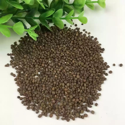 SREE Balsam Seed, Dopati, Mixed Balsam Seed(50 per packet)
