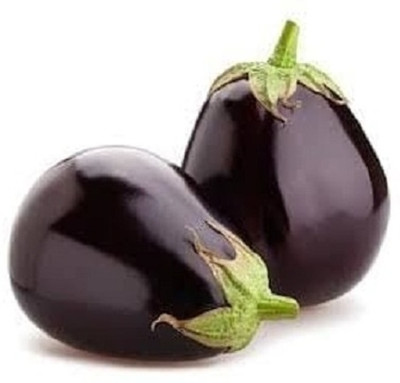 KNESSiN Brinjal Black Big Vegetable ( Seeds) Seed(5000 per packet)