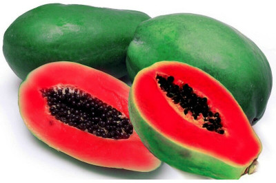 KLARKEE Red Caribbean Papaya Seed Seed(80 per packet)