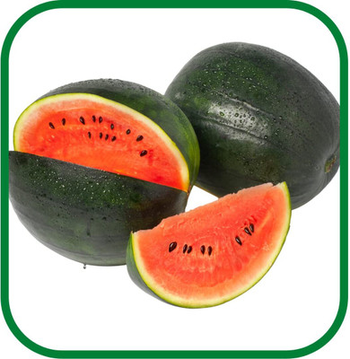 Qualtivate PUAS-8A WATER MELON (ROUND SHAPED ) Seed(100 per packet)