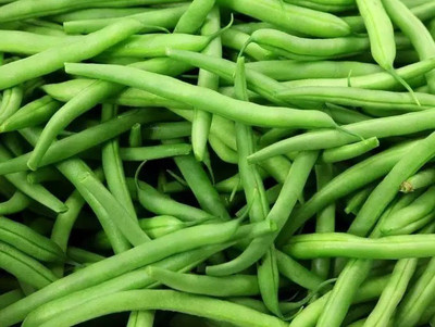 SEMPA Vegetable Seeds French Beans Seed(500 per packet)