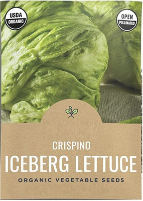 CYBEXIS TLX-24 - Crispino Iceberg Lettuce - (150 Seeds) Seed(150 per packet)