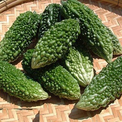 Qualtivate JXL-8AT Bitter Gourd (Karela) Seeds Seed(50 per packet)