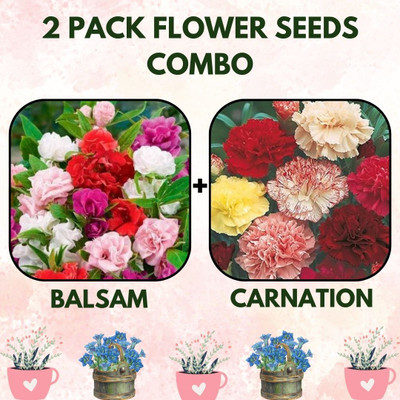 Infiniteseeds 2 Pack Combo of Balsam nd Carnation Flower Seeds Seed(2 per packet)