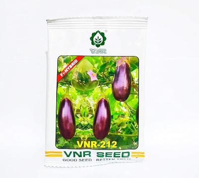 THAMMAR VNR SEEDS Hybrid Brinjal VNR-212 Seeds (10gm) Seed Seed(1 per packet)