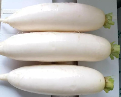 VINTI (Mooli) Vegetable (मूली के बीज) Seed(3000 per packet)