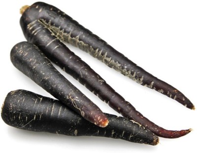 Avysa Black Nebula Carrot Seed(1000 per packet)