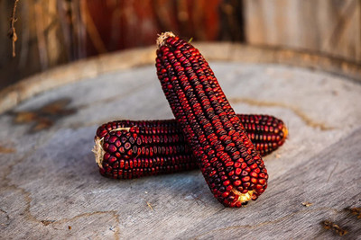 VibeX ® RXI-328 Bloody Butcher Red Corn Seeds Seed(500 per packet)