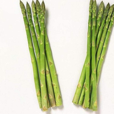 KNESSiN XIV-78 Asparagus Seed(100 per packet)