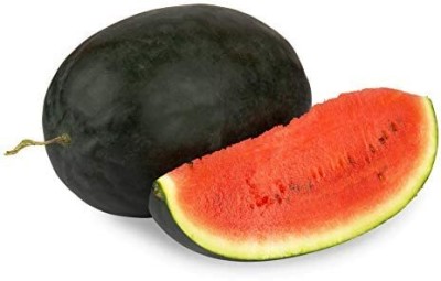 Aywal Water Melon, Tarbuj Seed(475 per packet)