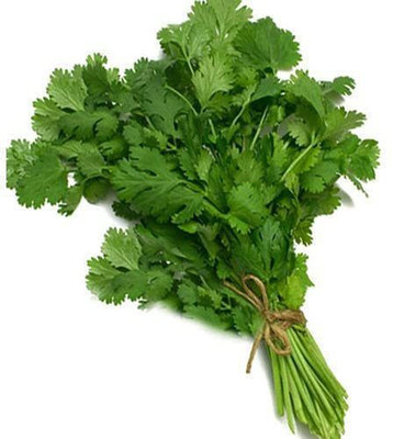 KANAYA Coriander (Dhaniya) Seed(10 per packet)