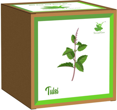 Sow and Grow Easy DIY Grow it Yourself Gardening Kit of Tulsi (Holy Basil) for Home & Garden Seed(1 per packet)