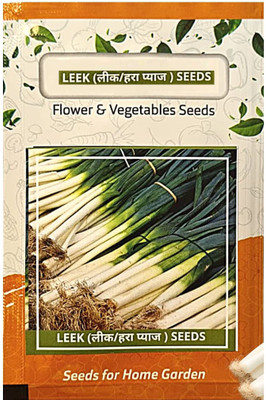 WILLVINE GBPUT -XI SPRING CUT BUNCHING ONION/PYAJ PATTA [10g] Seed(7500 per packet)