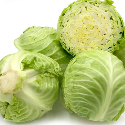 CYBEXIS Hybrid Cabbage Golden Acre Primo Seeds2000 Seeds Seed(2000 per packet)