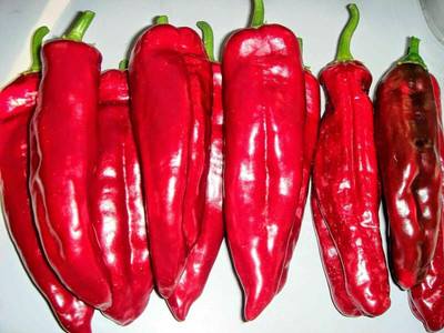 DIVINE CHILLI , PEPPER Seed(125 per packet)