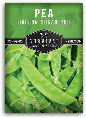 VibeX XLL-18 - Oregon Sugar Pod II Pea - (100 Seeds) Seed(100 per packet)