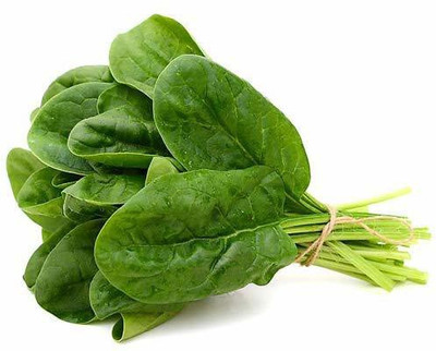KANAYA Spinach Seed(110 per packet)