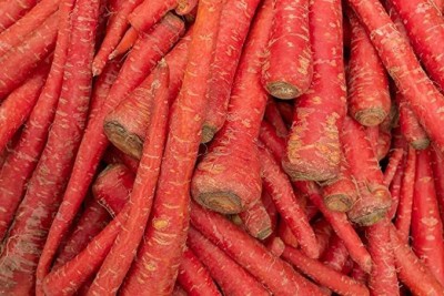 KANAYA Carrot / Gajar Seed(35 per packet)